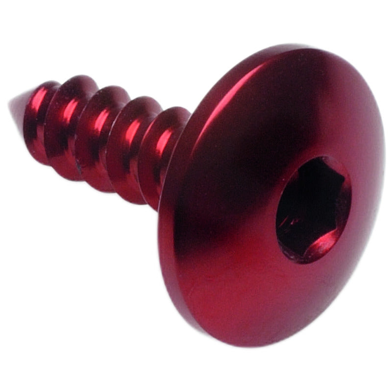 Vite Autofilettante 003 Ø 5,5x16 Ergal