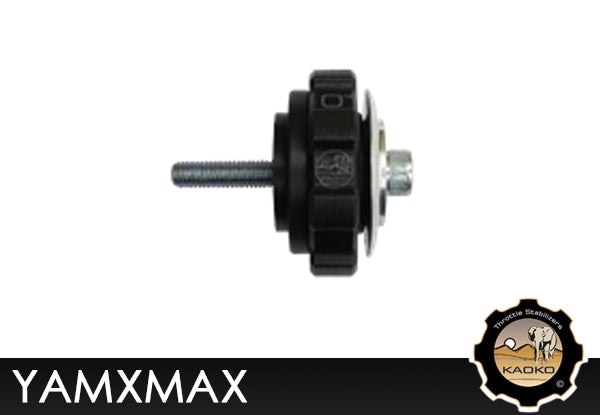 Cruise control moto Kaoko YAMAHA XMAX 300 Scooter '17- / 125 / 400 '18