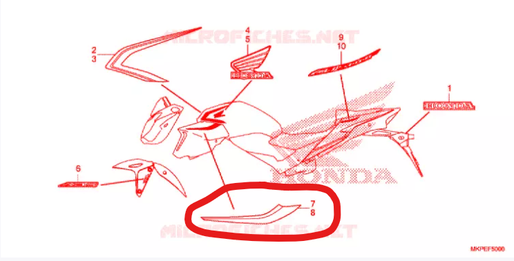 ADESIVO SCOCCA DX HONDA CBF 500 2020>2021