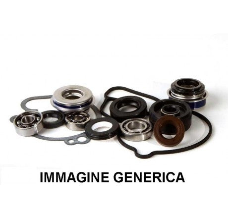 KIT REVISIONE POMPA ACQUA WPK0065 HOT RODS