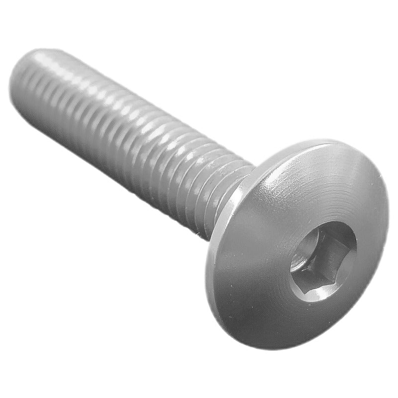 Vite Testa Bombata Erg. Cl 002 M4 L. 25 Testa Ø10  Ergal (7075 T6)
