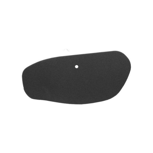 FILTRO ARIA RMS VERSITY 300 (002100600851)