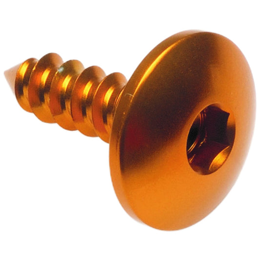 Vite Autofilettante 003 Ø 4,5x13 Ergal