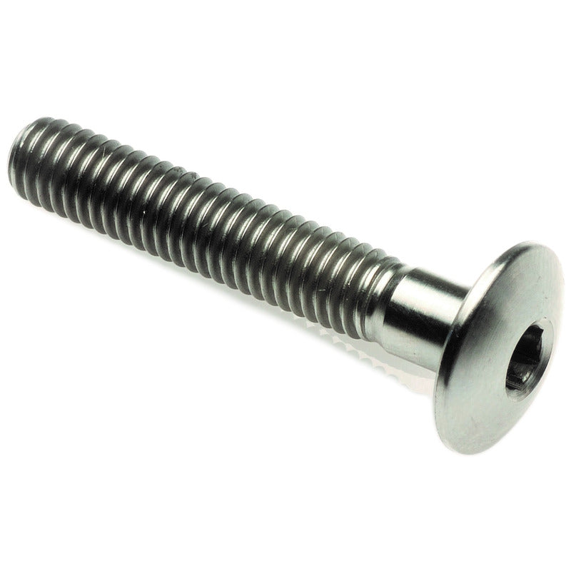 Vite Bombata Tit. G.5 Cl 002 M5 L. 50 Testa Ø12  Titanio 6al4v Gr.5