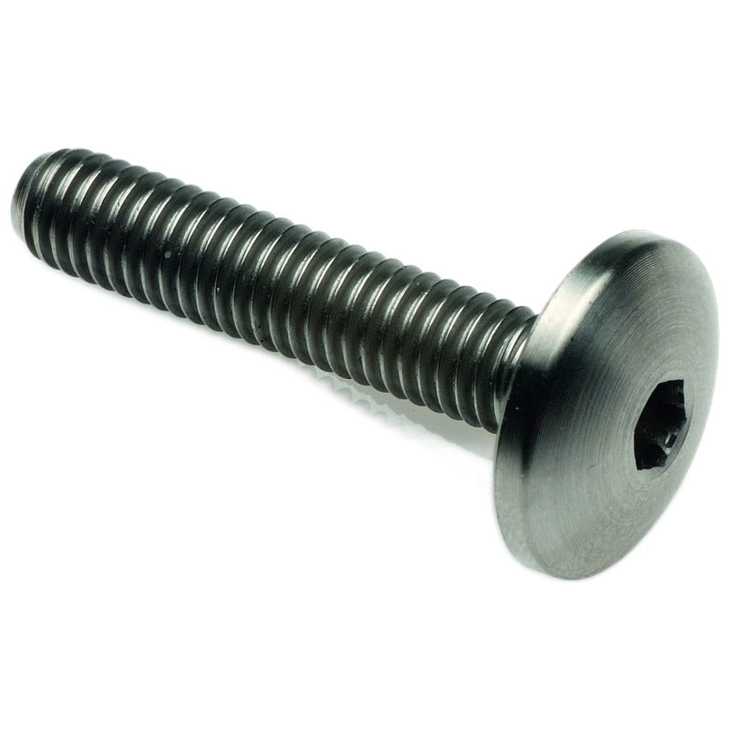 Vite Bombata Tit. G.5 Cl 003 M6 L. 15 Testa Ø16  Titanio 6al4v Gr.5