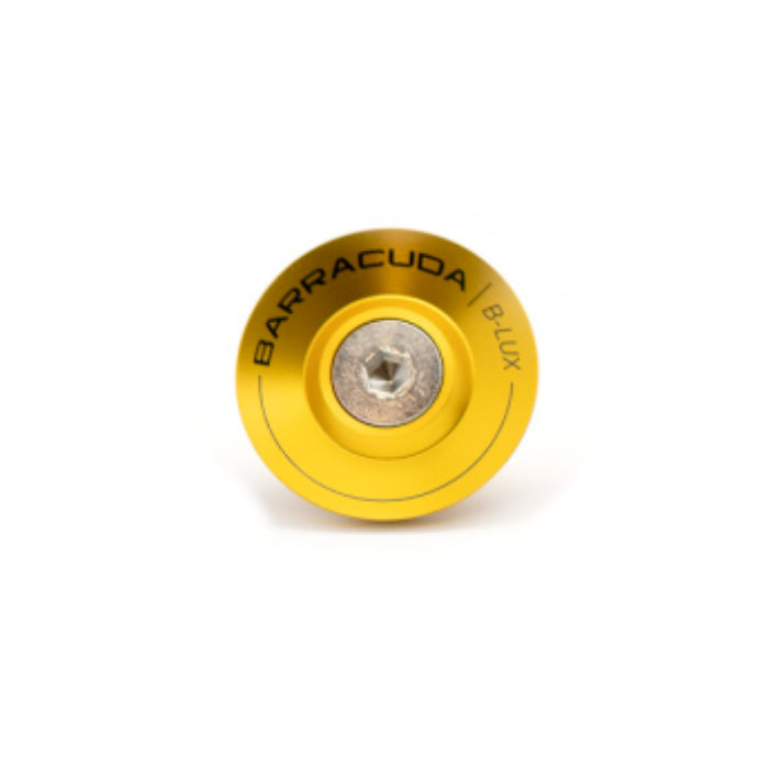 INSERTI ORO (COPPIA)