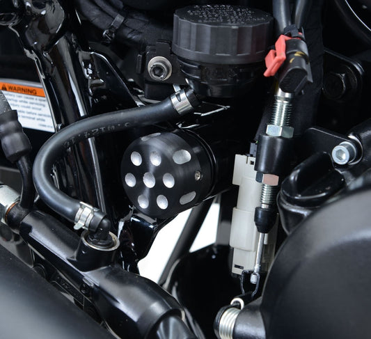 Cornice portatarga / protezione cinghia Harley-Davidson Street 500/750 - lato destro