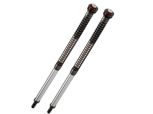 D0048JBH01V2 CARTUCCIA FORCELLA BITUBO DUCATI HYPERMOTARD 950 2019-2024