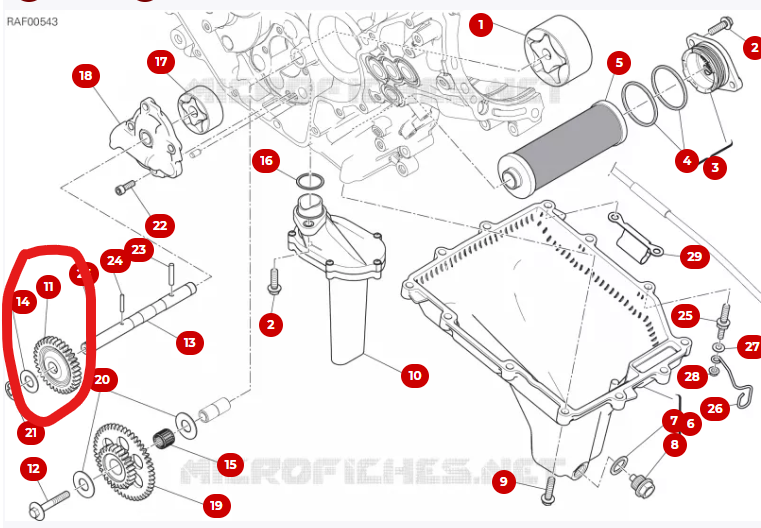 17410611A INGRANAGGIO CONDOTTO POMPA OLIO