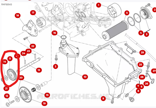 17410611A INGRANAGGIO CONDOTTO POMPA OLIO
