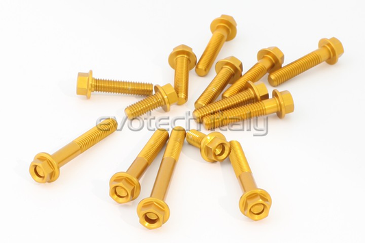 KIT VITERIA MOTORE NERE Z900 2017-2024