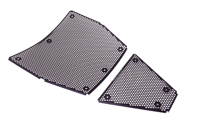 GRIGLIA RADIATORE PANIGALE V4/V4S EVOTECH