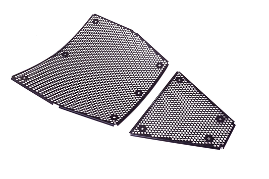 GRIGLIA RADIATORE PANIGALE V4/V4S EVOTECH