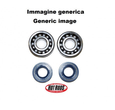 Kit cuscinetti e paraolio per albero motore HOT RODS K230