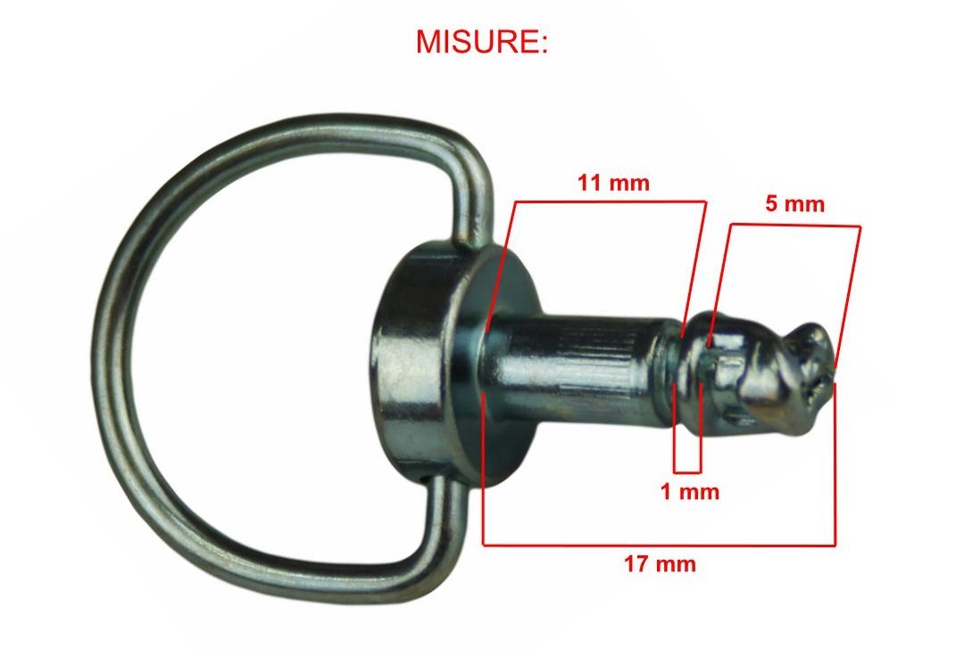 Kit 10pz.perno sgancio rapido con anello e rondelle