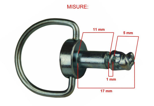 Kit 10pz.perno sgancio rapido con anello e rondelle