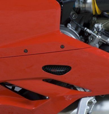 Protezioni motore SX in carbonio - Ducati 899/959/1199/1299/V2 Panigale