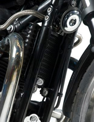 retina protezione radiatore olio, Triumph Bonneville '08-, Thruxton '06-, Scrambler '08-