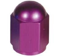 Coppia tappo valvola "Hexagone" viola